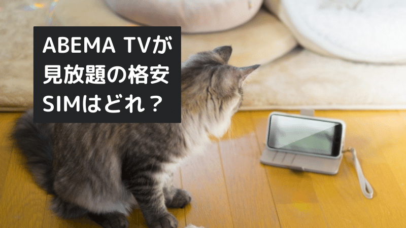 ABEMA TVが見放題の格安SIMはどれ？カウントフリーならデータ消費しない